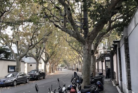 Former French Concession – Yongfu Road