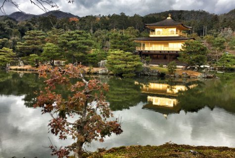 2019-12-03_Kinkaku-ji_a